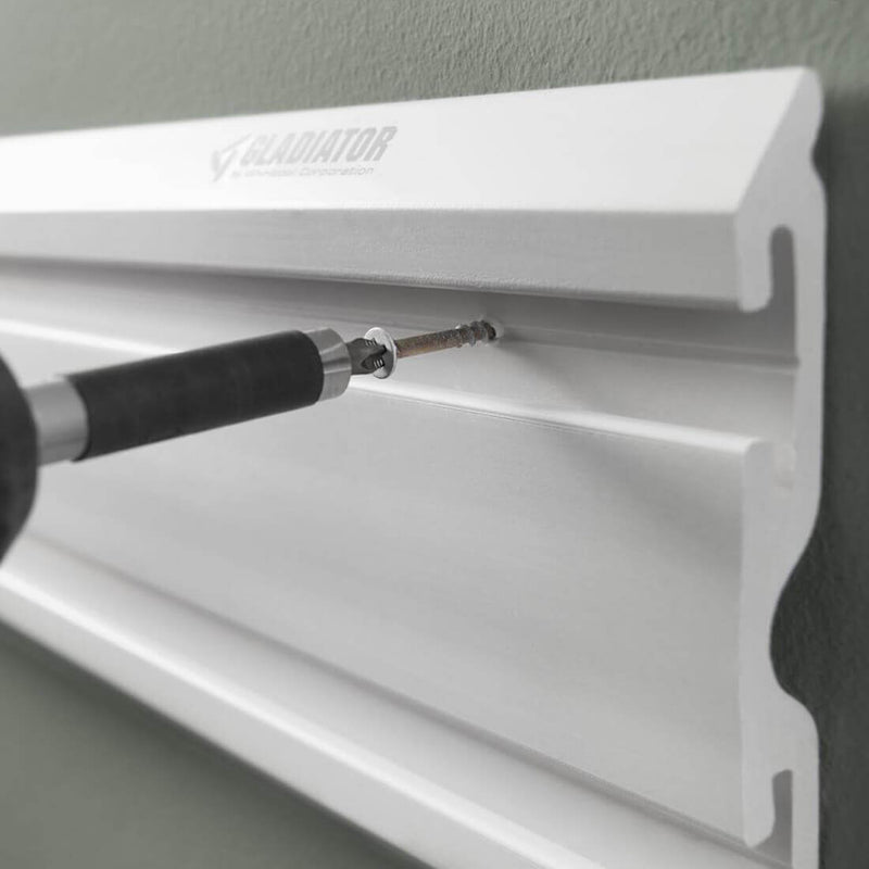 Gladiator Color Matched Screws in Light Gray (32-Pack)